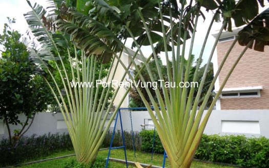 SUPER MODERN VILLA FOR RENT IN HEART OF FRONT BEACH VUNG TAU B151
