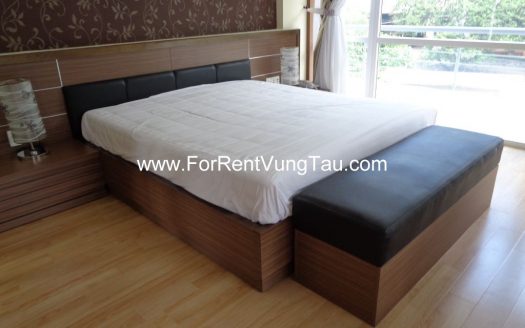 SUPER MODERN VILLA FOR RENT IN HEART OF FRONT BEACH VUNG TAU B151