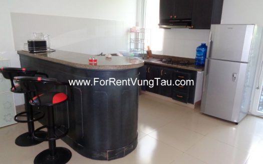 GREEN VILLA FOR RENT IN VUNG TAU CITY B12
