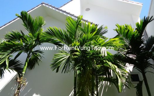 GREEN VILLA FOR RENT IN VUNG TAU CITY B12