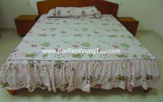 LIVING EASY, COMFORTABLE AND FUN IN VUNG TAU CITY WITH THIS VILLA B70