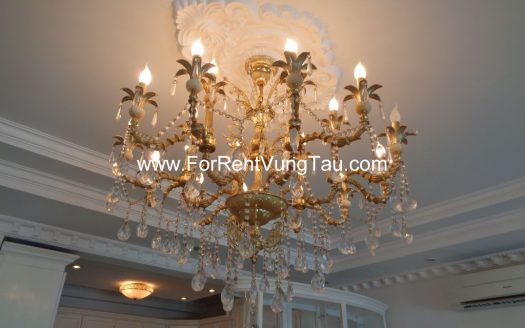 SPLENDID VILLA FOR RENT/SALE IN VUNG TAU VIETNAM B86