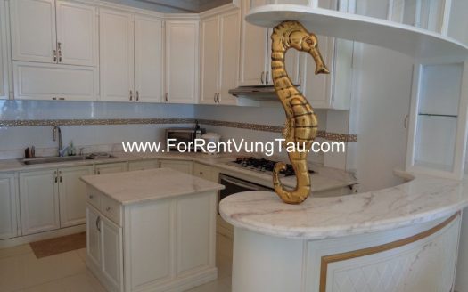 SPLENDID VILLA FOR RENT/SALE IN VUNG TAU VIETNAM B86