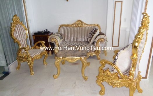 SPLENDID VILLA FOR RENT/SALE IN VUNG TAU VIETNAM B86