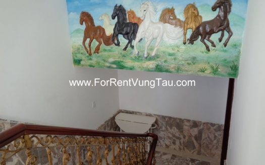 SPLENDID VILLA FOR RENT/SALE IN VUNG TAU VIETNAM B86