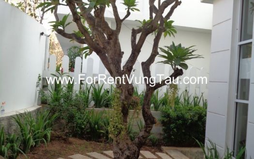FRONT BEACH SUPER LUXURY VILLA RENTAL IN VUNG TAU B242