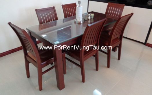 MODERN APARTMENT FOR RENT IN VUNG TAU B174