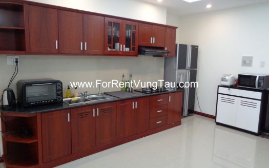 MODERN APARTMENT FOR RENT IN VUNG TAU B174