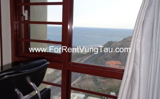 MODERN APARTMENT FOR RENT IN VUNG TAU B174