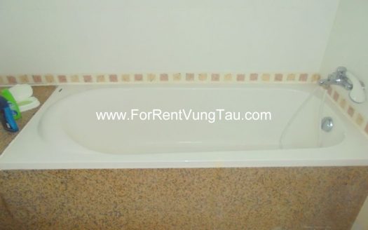 SEAVIEW APARTMENT FOR RENT IN VUNG TAU, VIETNAM B135