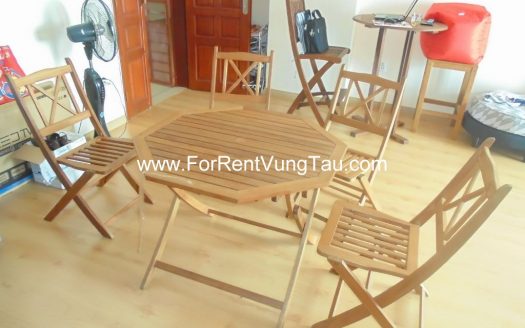 SEAVIEW APARTMENT FOR RENT IN VUNG TAU, VIETNAM B135