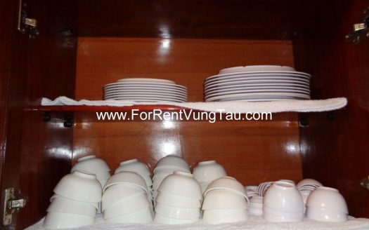 6 BEDROOMS VILLA FOR RENT IN VUNG TAU B171