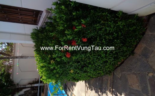 6 BEDROOMS VILLA FOR RENT IN VUNG TAU B171