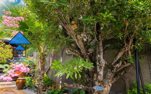 RENTAL SPACEIOUS HOUSE IN VUNGTAU B1510