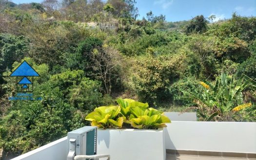 BEAUTIFUL HOUSE WITH GARDEN ON LE LOI STREET, VUNG TAU B1356