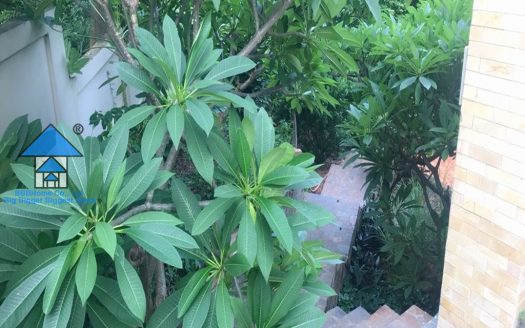 LARGE ROAD FRONT VILLA NEAR BAI SAU, VUNG TAU B608