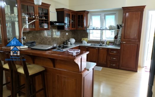 VIET ANH HOUSE RENTAL AT VIVA STREET, VUNGTAU CTIY B1242